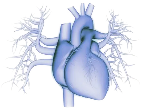 cardiac-494x381
