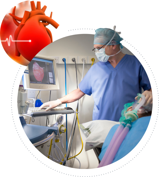 Cardiologist in surgical scrubs and mask monitoring a patient's heart scan on a computer screen
